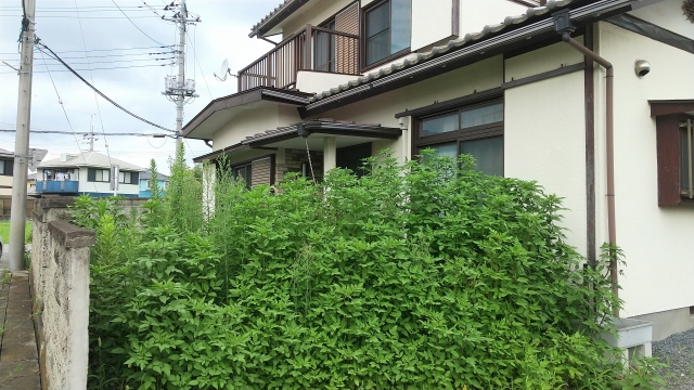 高台にある、遠方で管理できなくなった実家