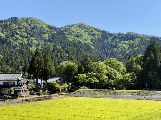 農地と隣接する古い空き家